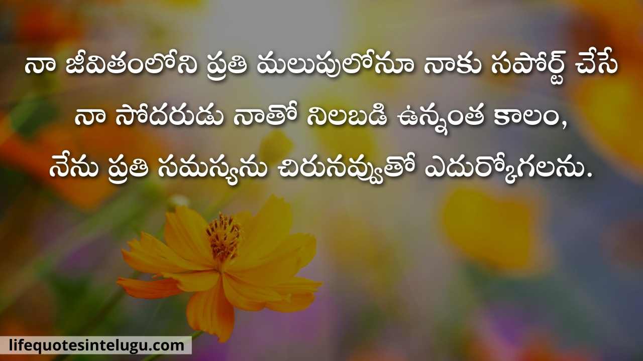 Brother Quotes In Telugu