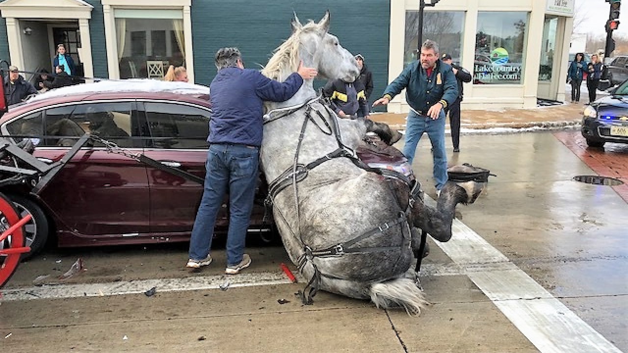 Fieggentrio Een ongeluk komt te paard