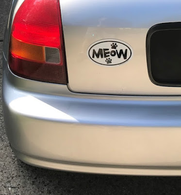 Meow!