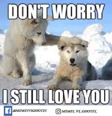 Click and get 101 best I Love You Meme that you can get anywhere else. I Love You Meme