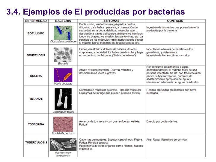 enfermedades por bacterias