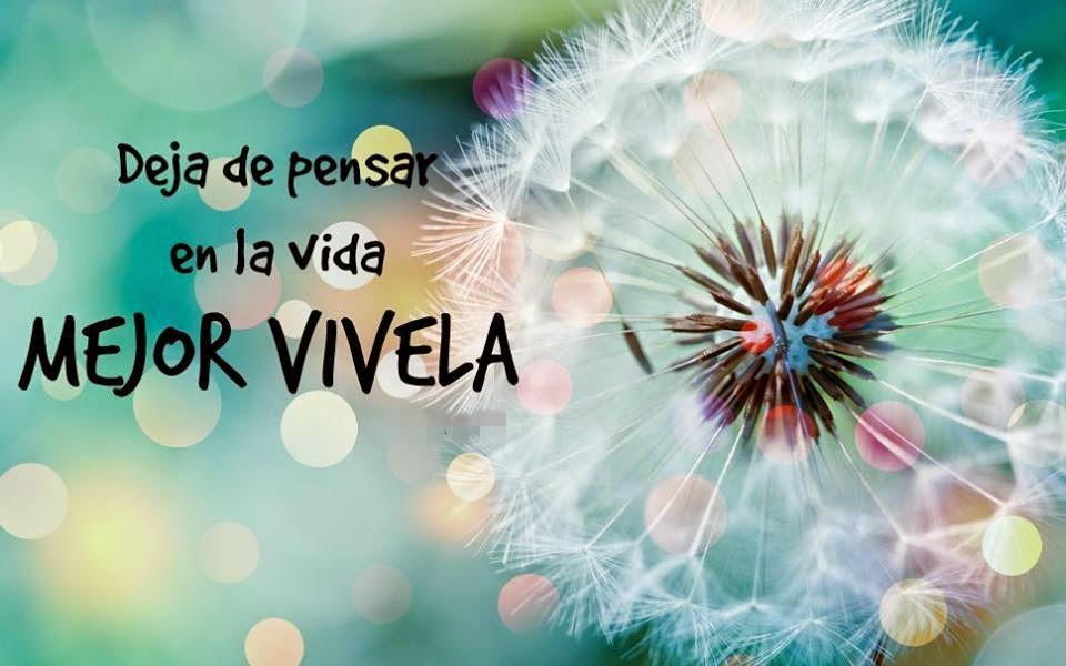 HERRAMIENTAS PARA EL ÉXITO: Deja de pensar en la vida...mejor vívela.