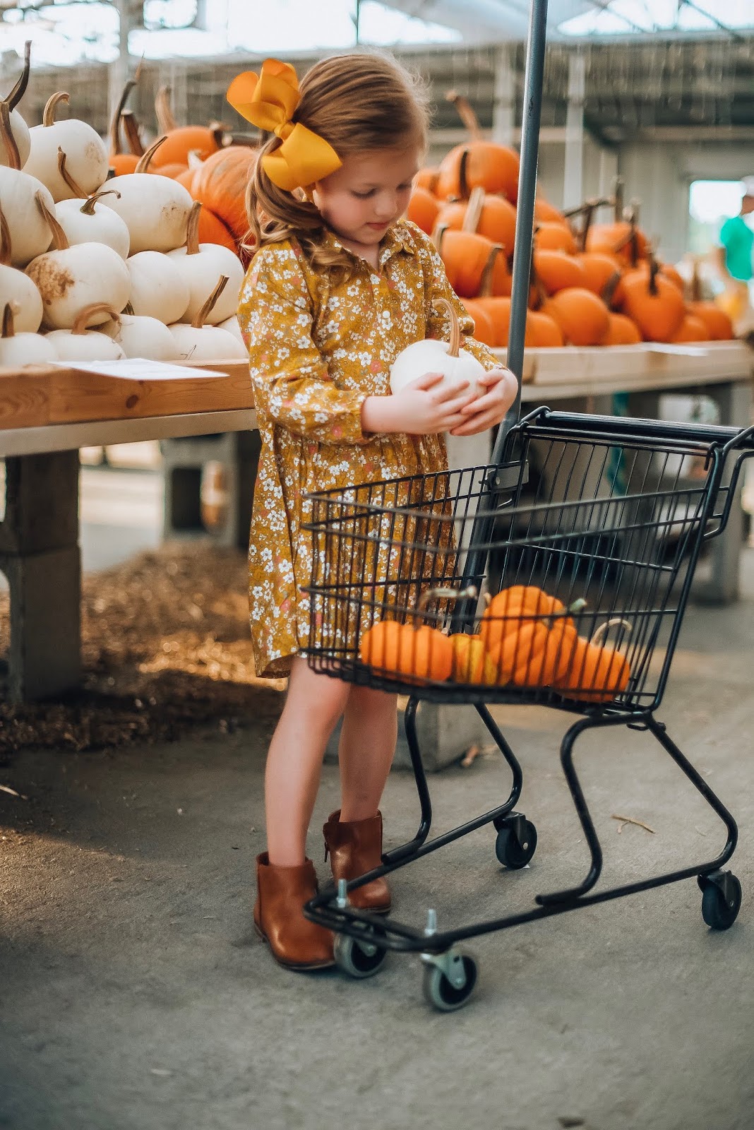 $51 Marigold Corduroy Wrap Dress + Pumpkin Shopping - Something Delightful Blog #fallstyle #pumpkins #affordablestyle