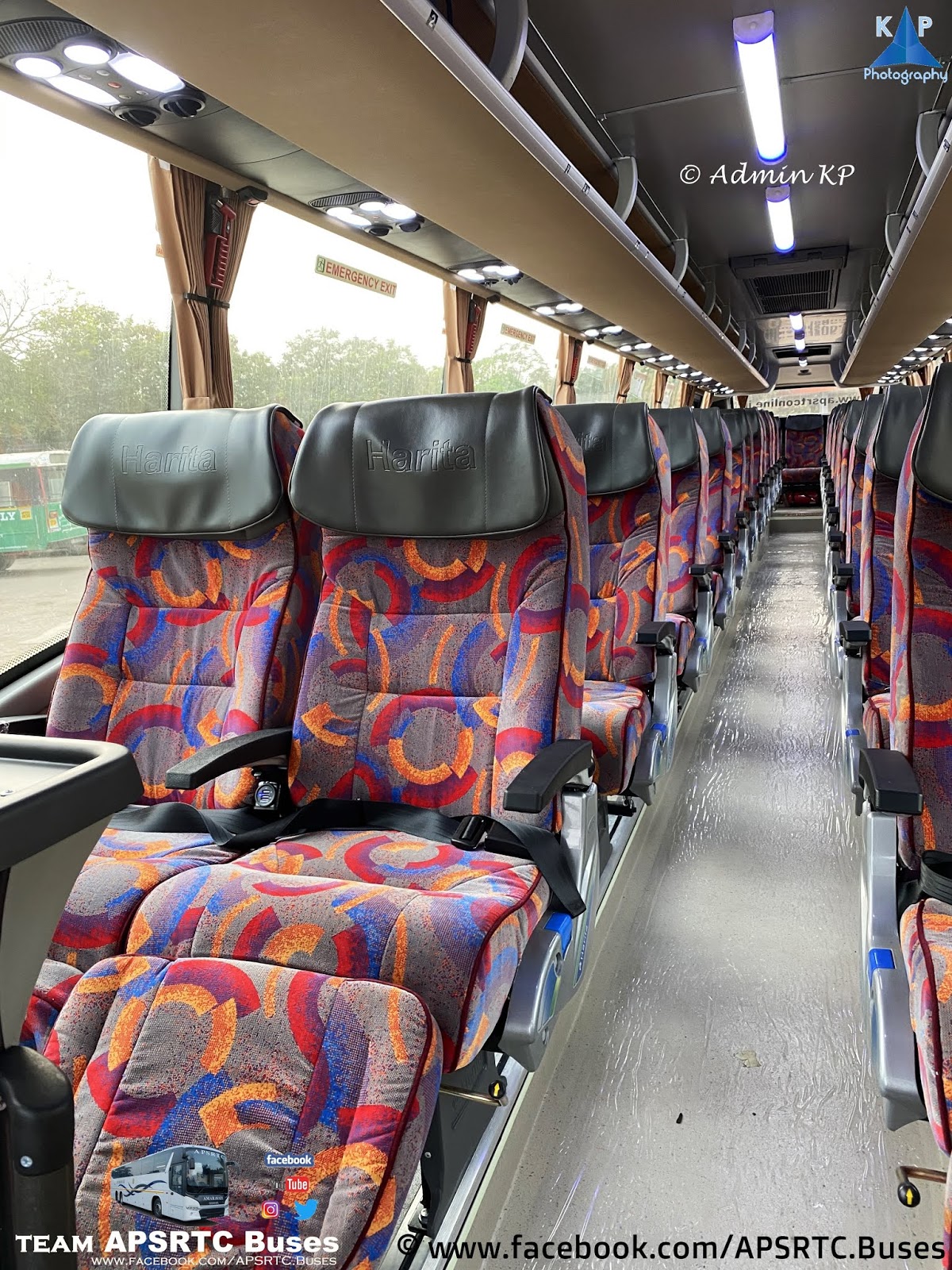 dolphin cruise bus seats