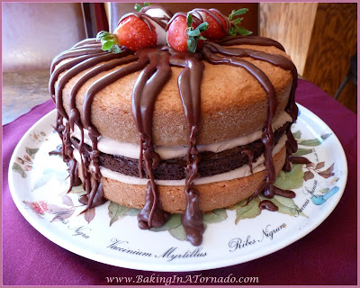 Chocolate Strawberry Brownie Cake | recipe developed by www.BakingInATornado.com | #recipe #cake