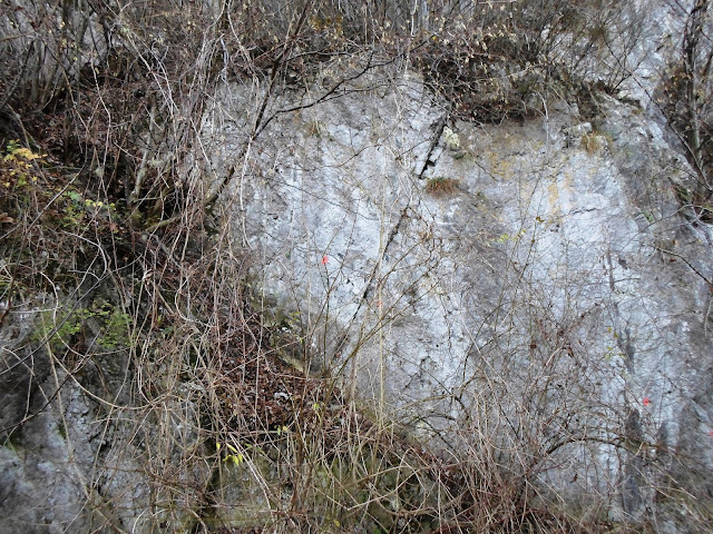 Wir Bauen Ein Zuhause 2013