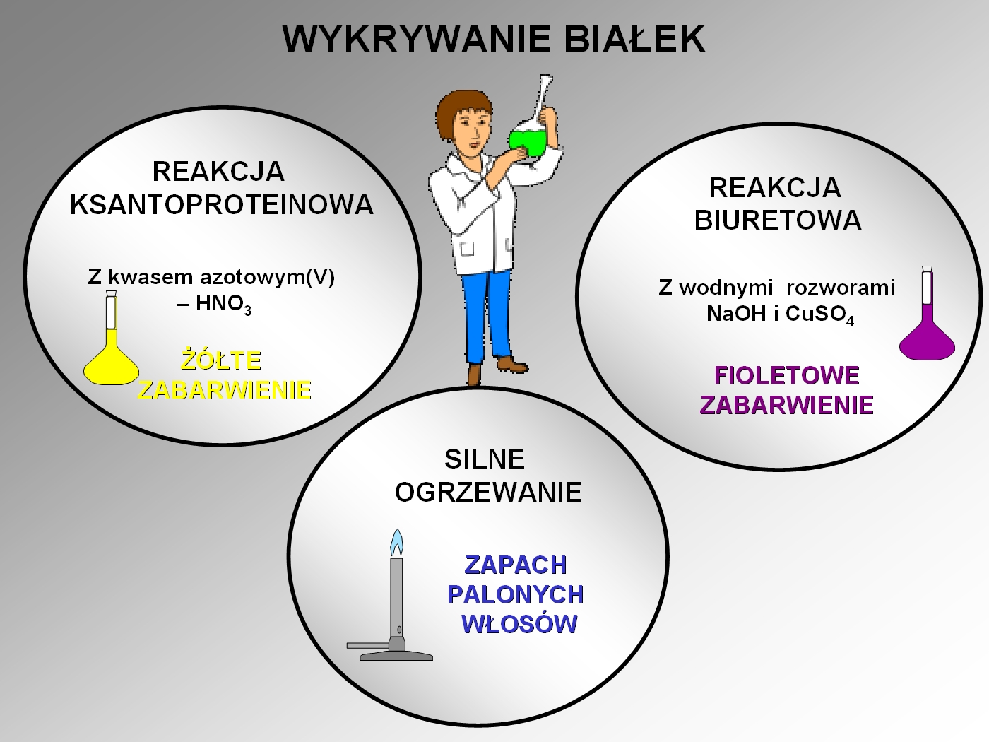 Reakcja Biuretowa Na Czym Polega Koło Chemiczne Wulkan: Wykrywanie białka w produktach spożywczych