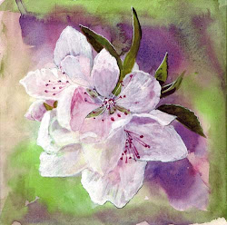 cherry blossom watercolor painting water japanese watercolour techniques blossoms paintings bunny tutorials rhododendron sennelier april cherri discover