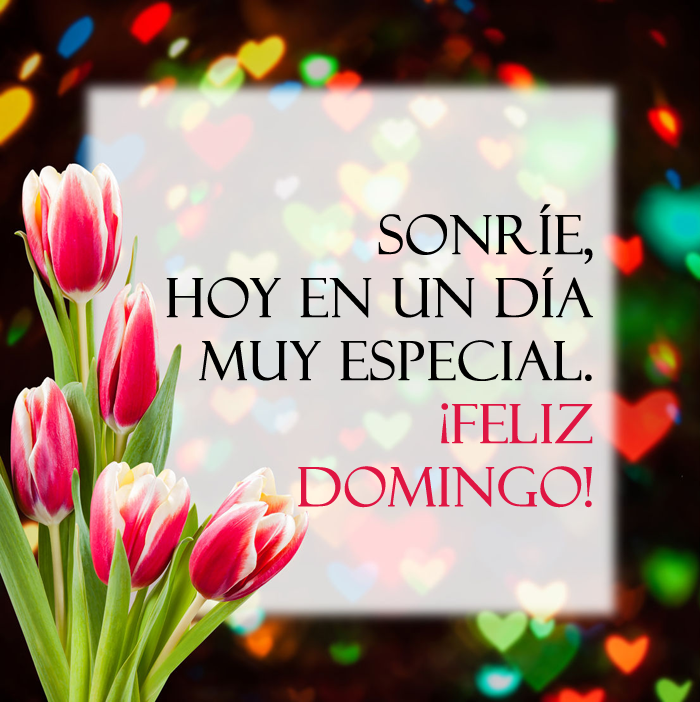 Ver las imágenes de origen