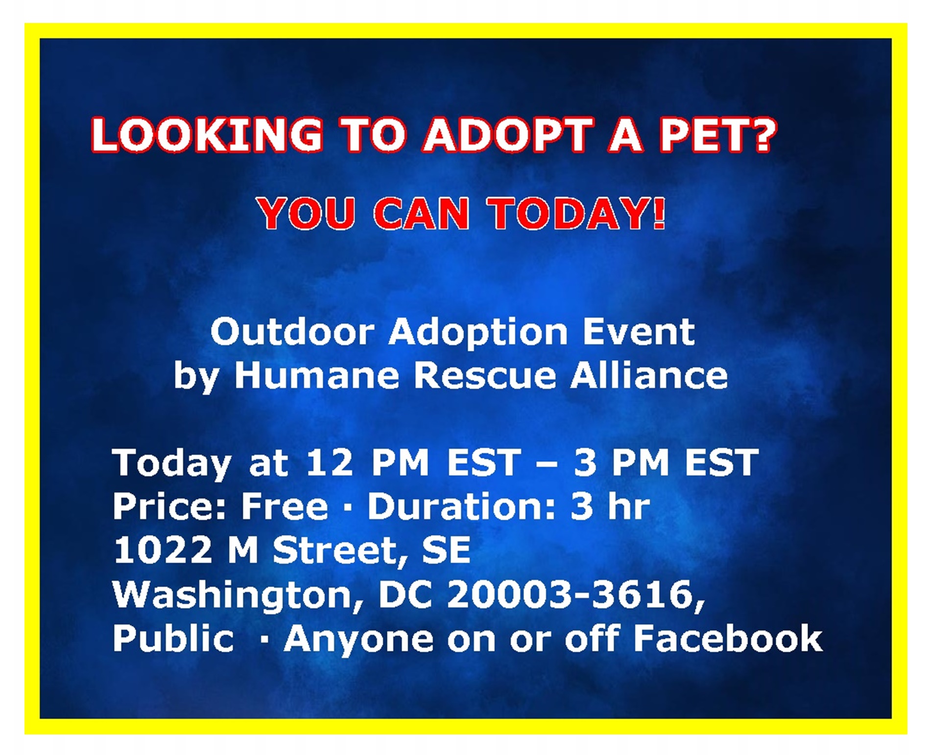 The Pet Tree House Where Pets Are Family Too The Humane Rescue