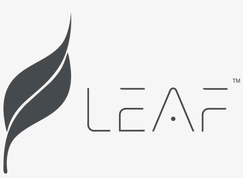 Top 5 Best Leaf Earphones & Leaf Headphones Leaf Studios Wireless