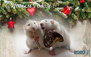 Открытка с Новым годом мыши и крысы 2024. Бесплатные, красивые живые новогодние открытки в год мыши
