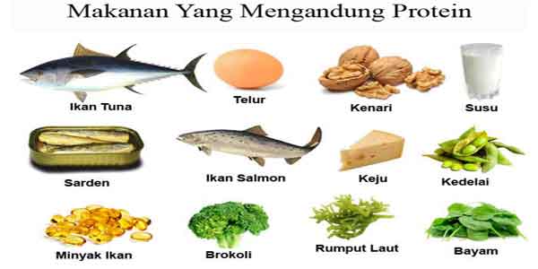 Kebaikan Chia Seed untuk Kuruskan Badan Jelitawan