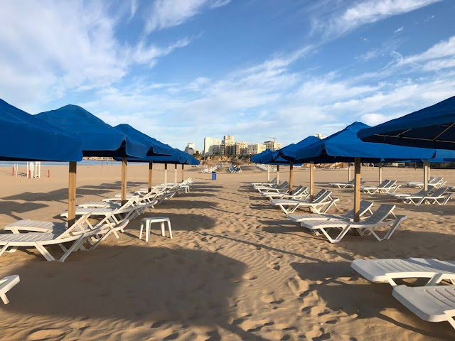 Praia da Rocha (Algarve )