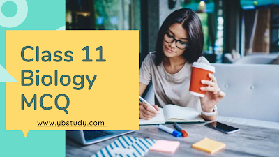 Class 11 chapter wise Biology MCQs for Maharashtra board Class 11 Biology MCQs Maharashtra board