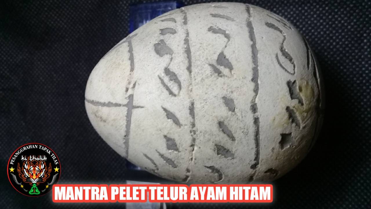 Pelet Telur Ayam Hitam Paling Ampuh Mantra Pelet Telur Ayam Hitam