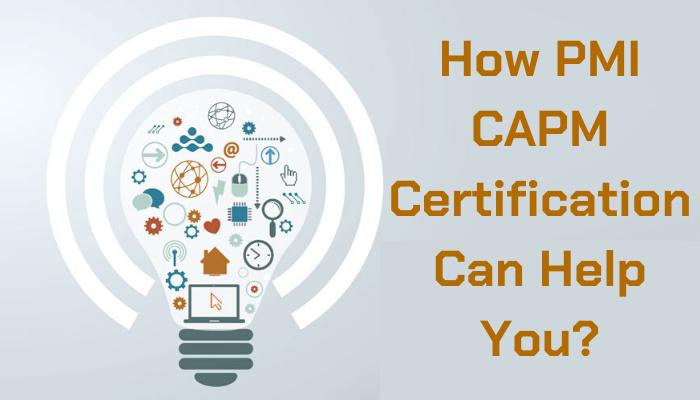 CAPM Online Praxisprüfung