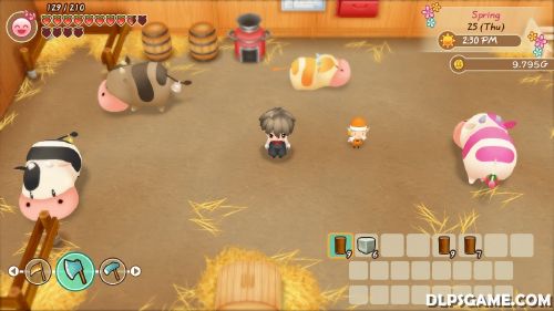 Story of Seasons Friends of Mineral Town   Download game PS3 PS4 PS2 RPCS3 PC free - 73