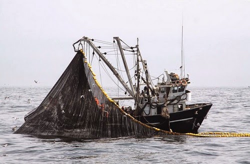 barco pesquero
