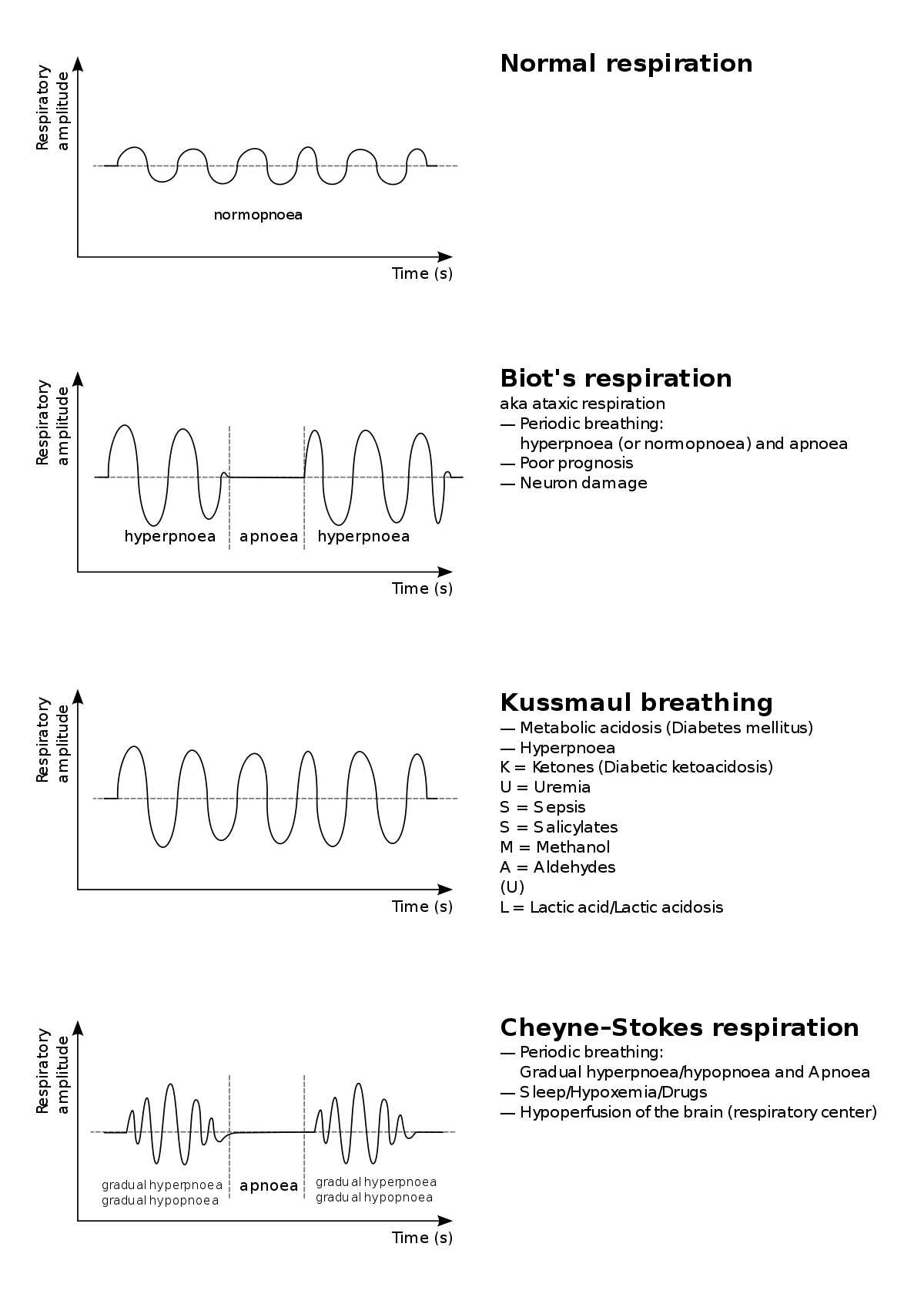 Listen Carefully to Differentiate b/w Kussmaul Breathing, Biot's