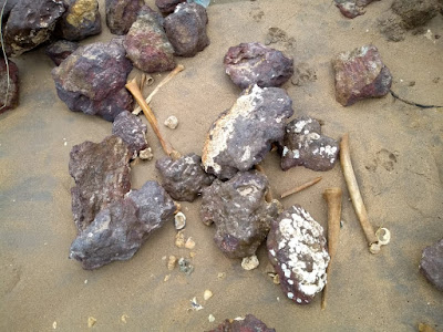 SFI: ossos de escravos voltam a aparecer na Praia de Manguinhos 4 a00a64ce 96a3 4ce9 9d0a f45419137c31