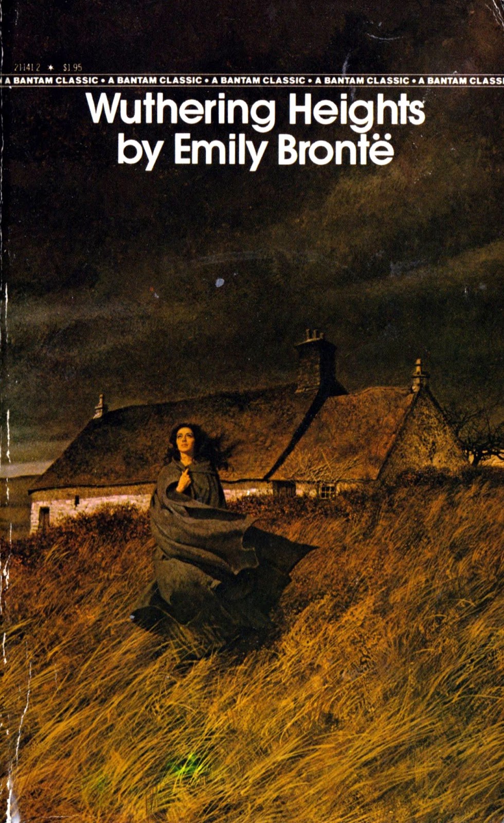 Explain wuthering heights as a gothic novel image