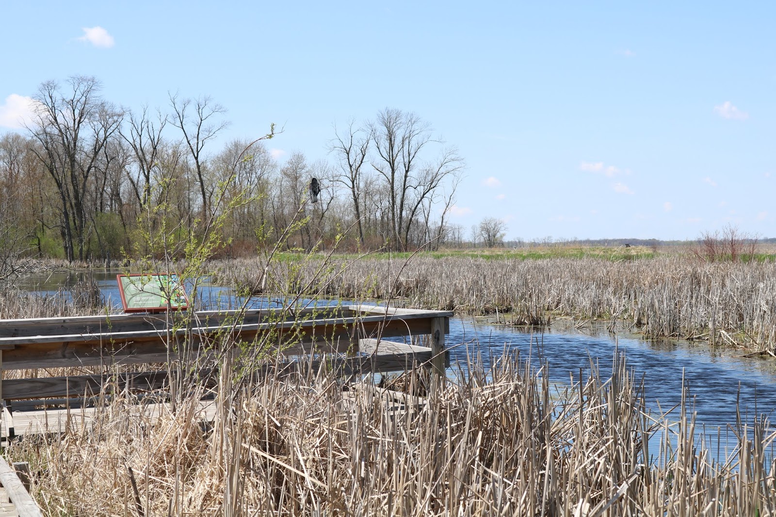 Volo History and More... Horicon Marsh in Wisconsin