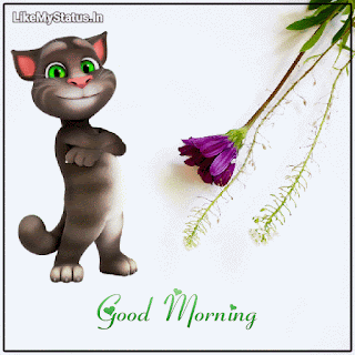 Cat-good-morning-animation