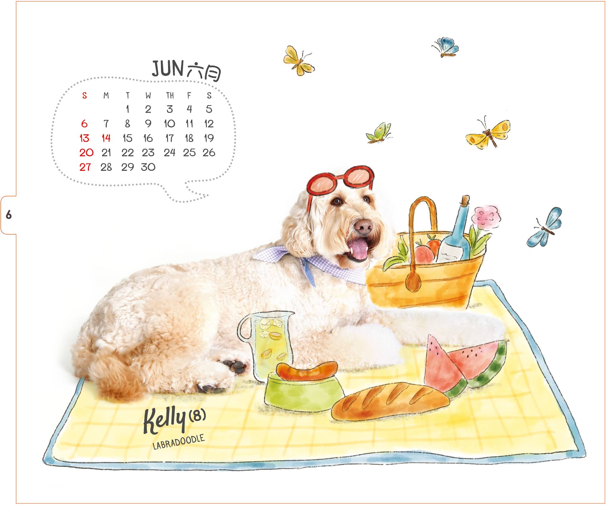 Love Our Dogs Charity Doggies Calendar 2021 LOVE OUR DOGS Charity