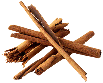 cinnamon-sticks.gif