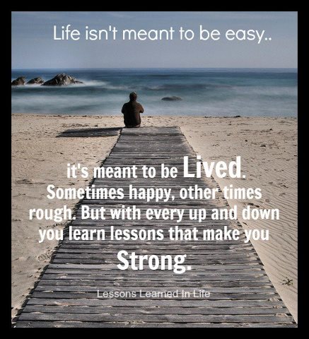 Life isn't meant to be easy... it's meant to be Lived ...