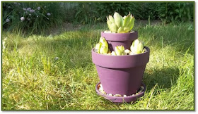 Two Tiered Hens and Chicks Planter