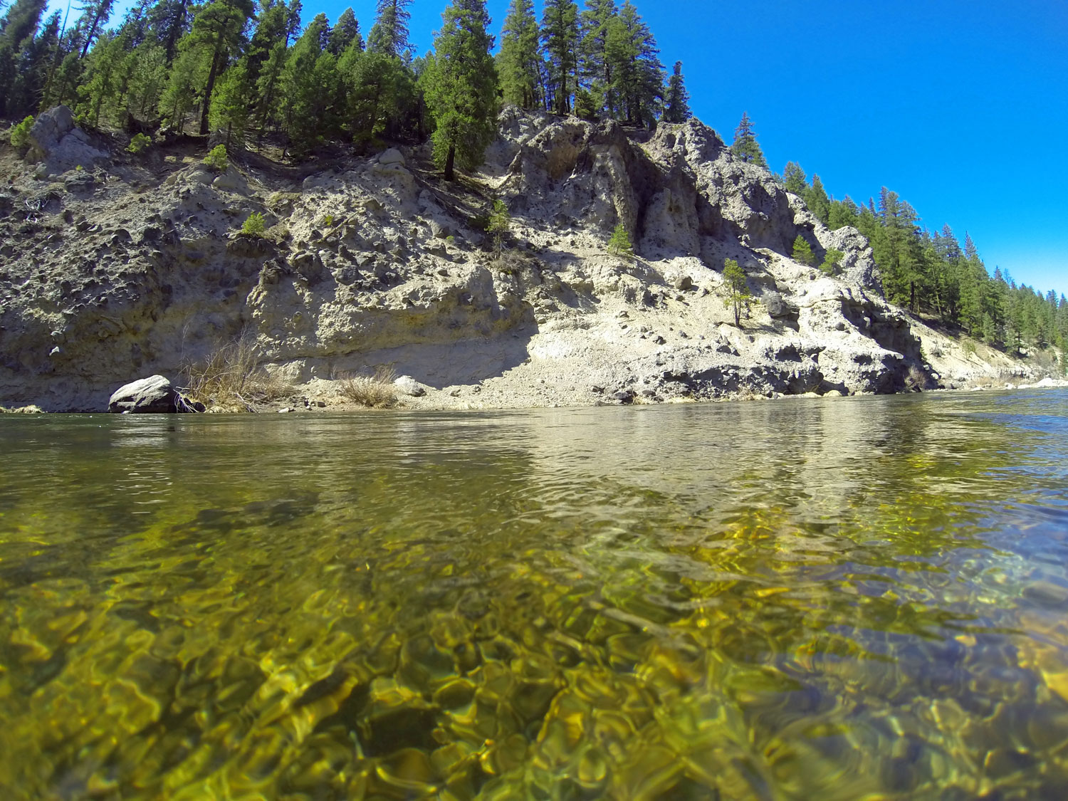 Middle Fork Feather River Fly Fishing Report 4/19/2021