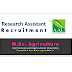 Research Assistant | Anand Agricultural University - Anand, Gujarat Recruitment 2020