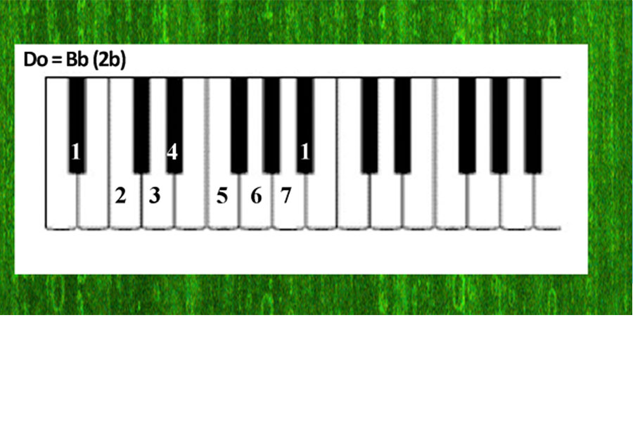 Play The Piano Moonlight Yiruma [NOT ANGKA]