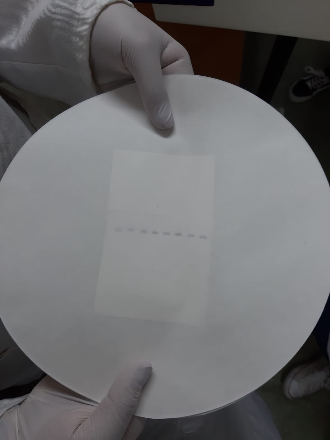 JunYe Regla de la Prueba de inspecci/ón del Orificio del Hueco del calibrador del calibrador de la galga de la Forma c/ónica de la Soldadura del Acero Inoxidable Pulgada//mil/ímetro
