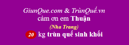 Trùn quế Nha Trang