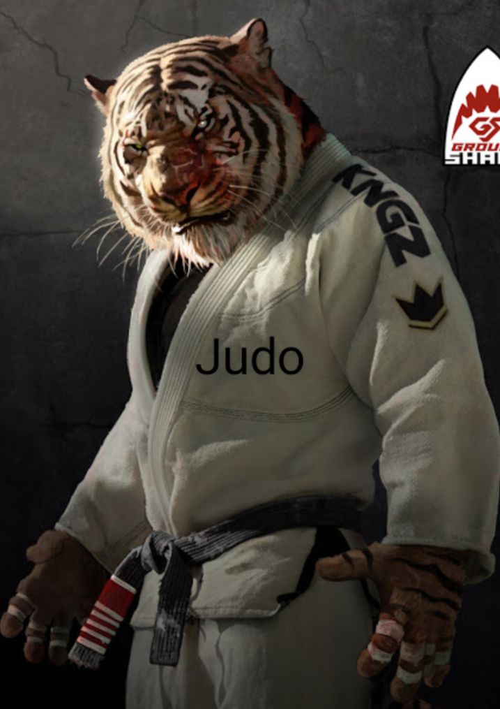 Soldier's Personal Blog ***WHAT IS A CHOKE HOLD/ WHAT IS A STRANGLE