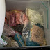 Dark Web and Cybercrime Roundup