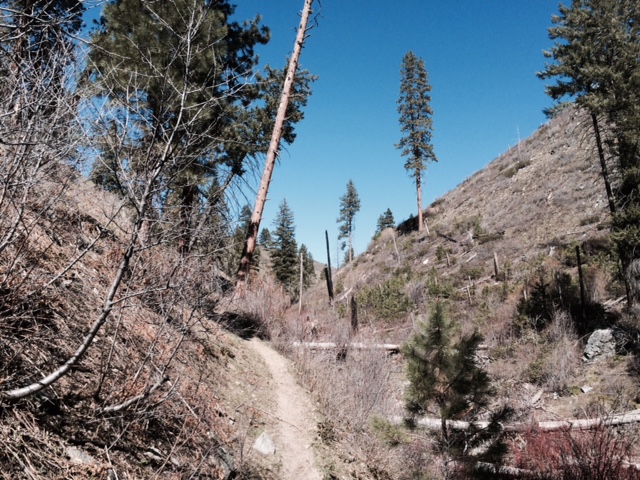 Stueby S Outdoor Journal Right Here In Our Backyard