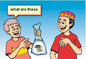 What are these – apa ini | conversations | belajar bahasa inggris