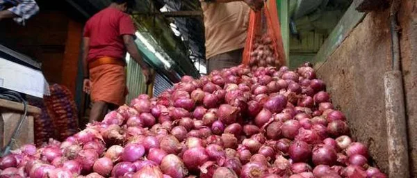 MMTC places order for 6,090 tonnes of onion from Egypt, Mumbai, News, Business, Egypt, Trending, Increased, National.