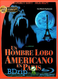 Un hombre lobo americano en París (1997) BDRip [1080p] Latino [GoogleDrive] SXGO