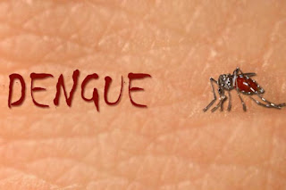 dengue header 1