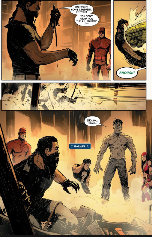 The Former Hero Wants To Live Peacefully Scan Black Panther Discussion and Appreciation: Black Panther vs Punisher