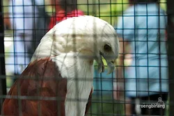 taman burung tmii jakarta
