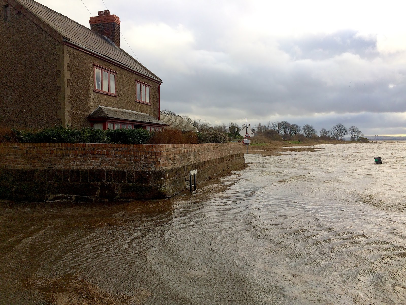 GeekTeacher's Birding Scrapbook: High Tide at Parkgate on the Wirral
