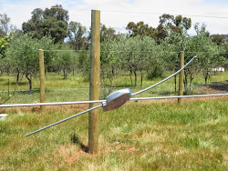 chicken fox proof coop wires pretending farm