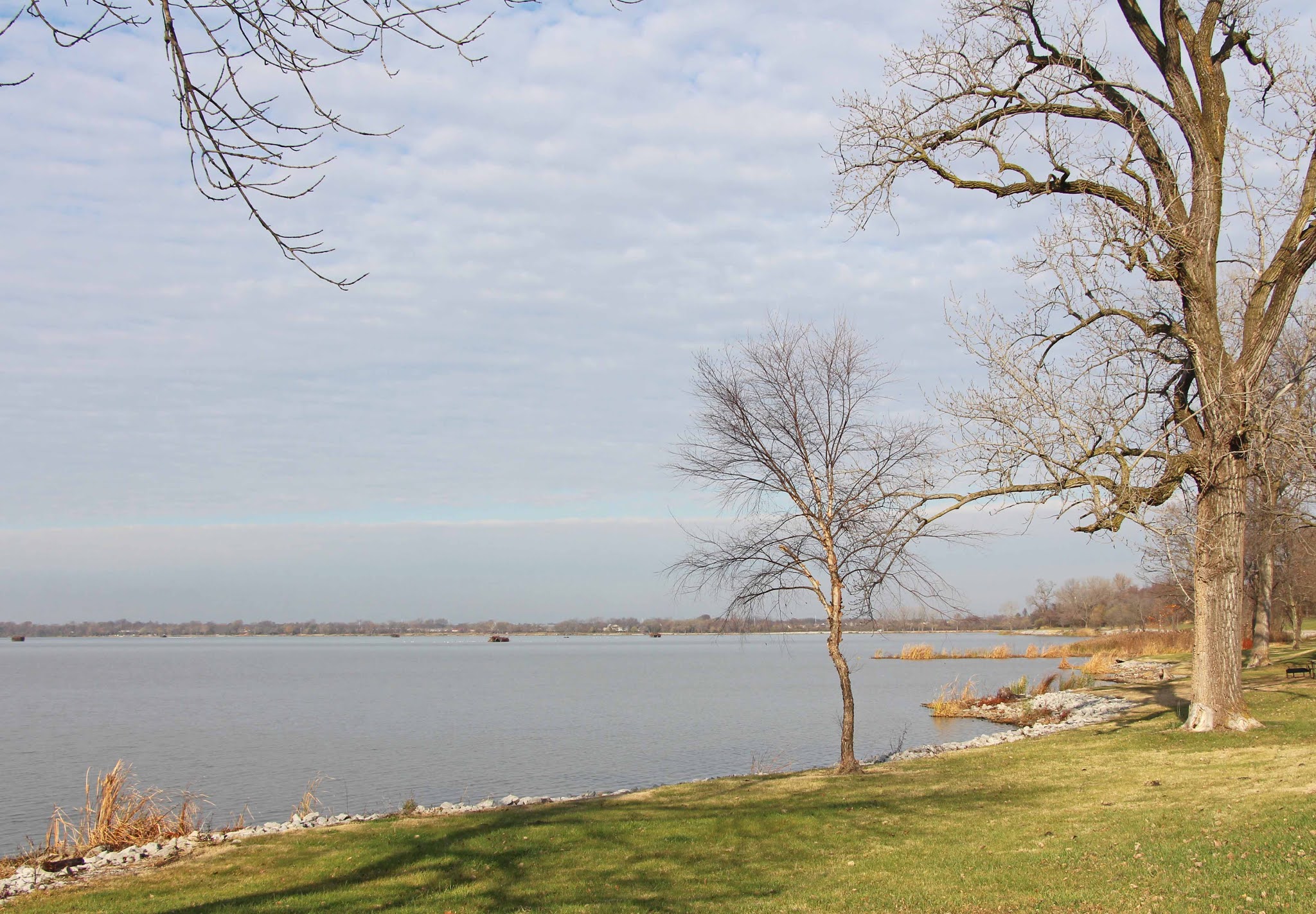Out and About the Midwest Horseshoe Lake, Pontoon Beach, IL