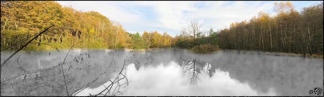 Käferchen Fokus auf SW Spaziergang in der Heide